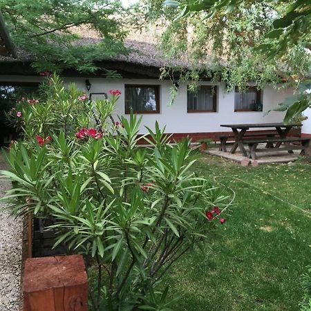 Balatonkenesei Nadfedeles Lovas Vendeghaz Villa ภายนอก รูปภาพ