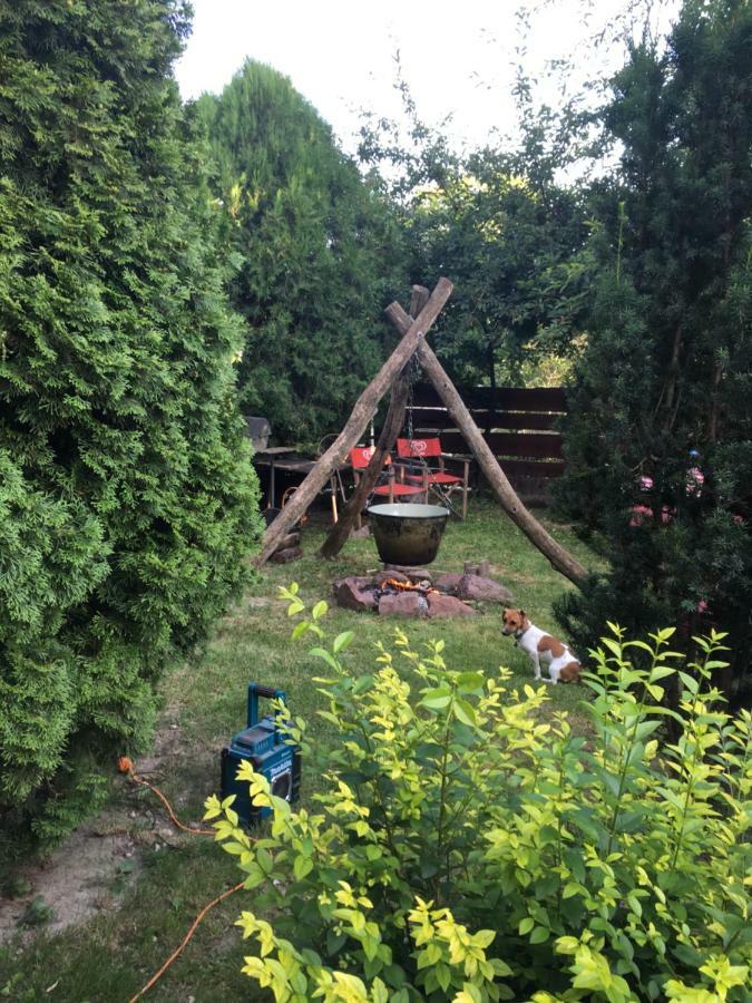 Balatonkenesei Nadfedeles Lovas Vendeghaz Villa ภายนอก รูปภาพ