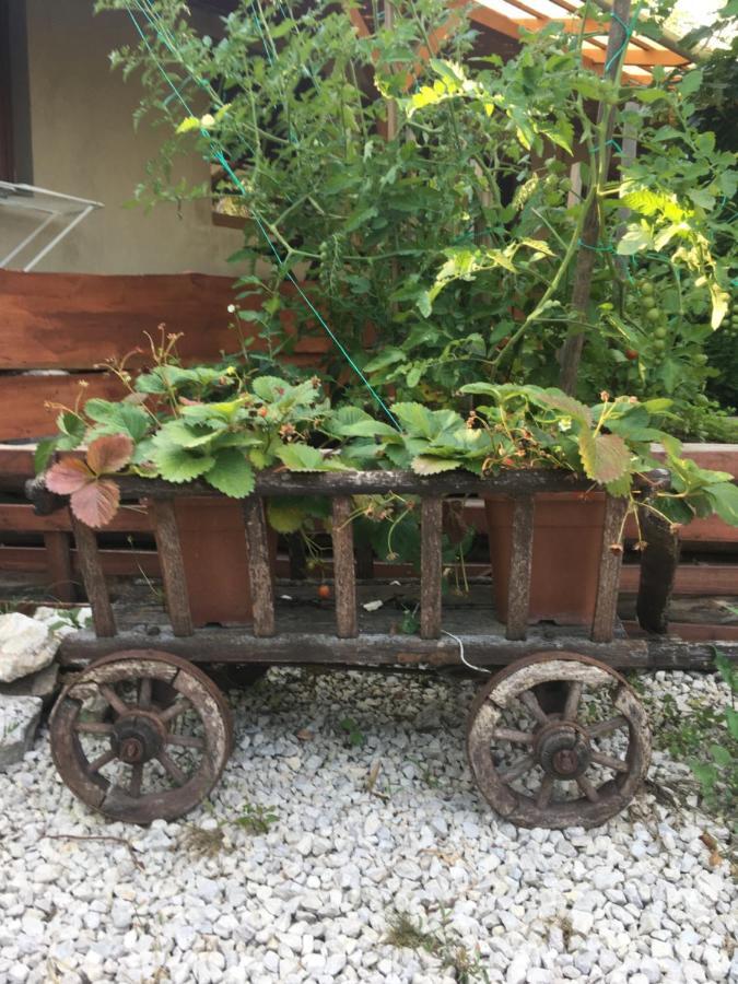 Balatonkenesei Nadfedeles Lovas Vendeghaz Villa ภายนอก รูปภาพ